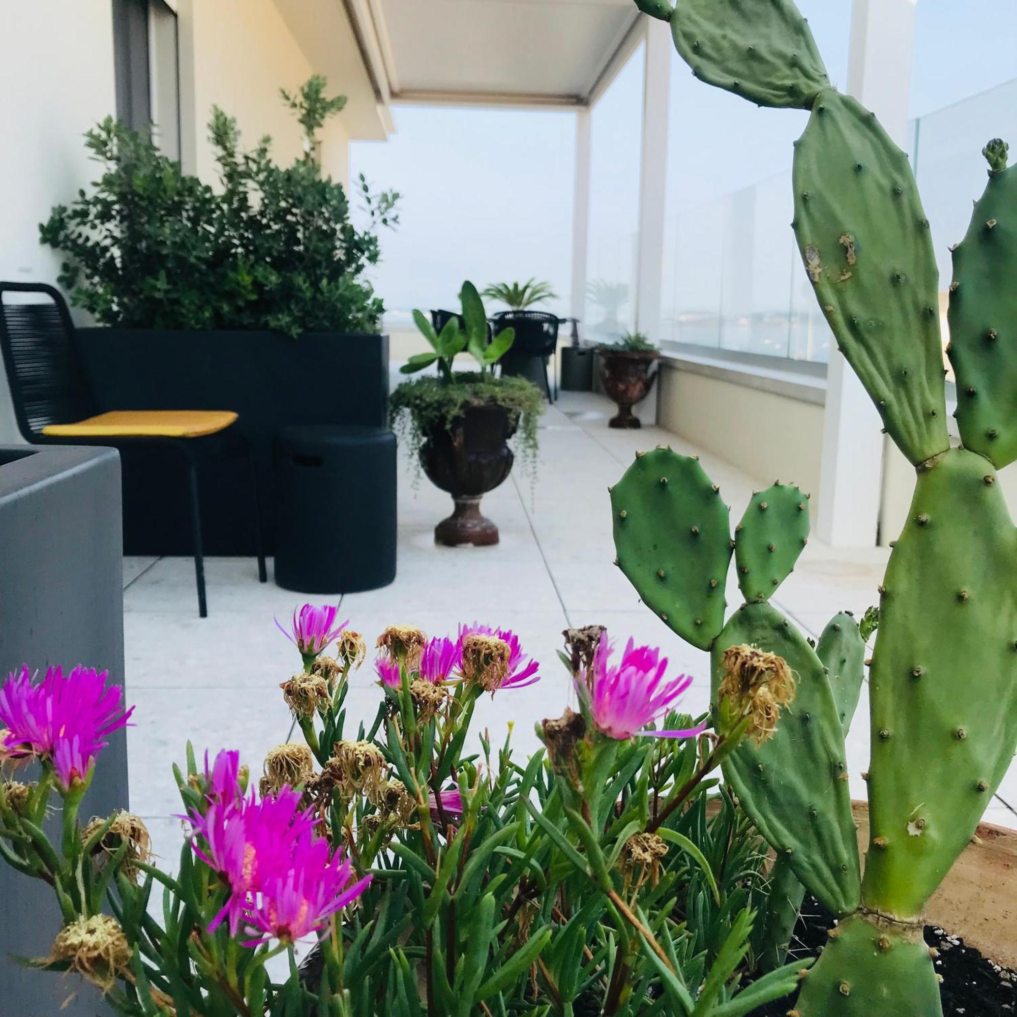 La Terrazza Sul Porto Acomodação com café da manhã Syracuse Exterior foto